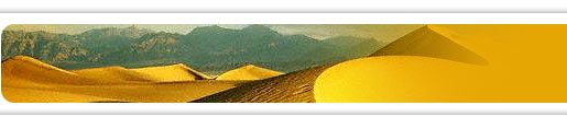 Wish India Tours